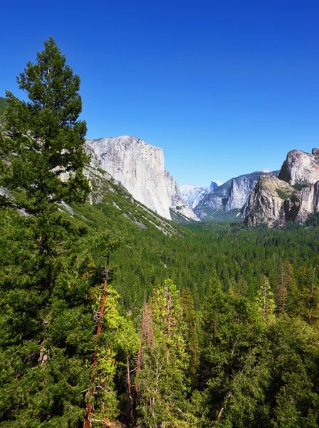 O monólito rochoso em Yosemite — Fotografia de Stock