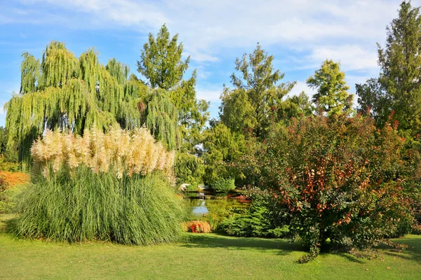 Sigurta fabuleusement beau parc dans le nord de l'Italie — Photo