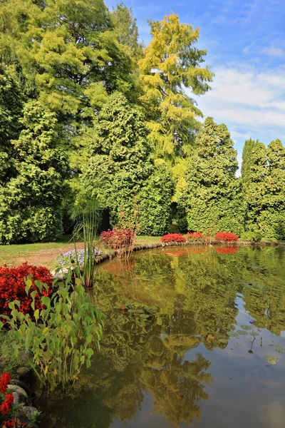 Pintoresco arbusto alrededor de un estanque circular —  Fotos de Stock