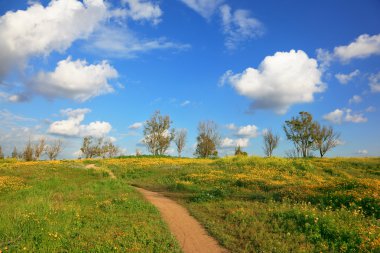 toprak yol alanları