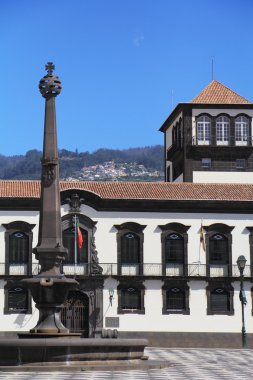 Funchal şehrin ana Meydanı
