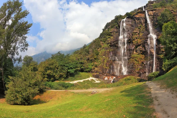 Parallel streams of water on a green overgrown hillside — Stock Photo, Image