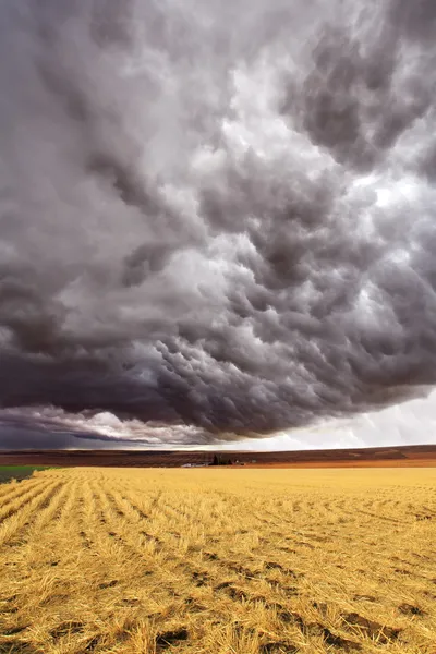 Storm — Stock Photo, Image