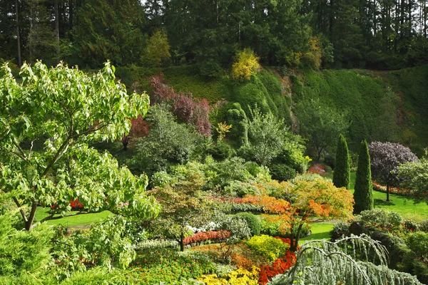 A arte de jardinagem - Butchard - jardim — Fotografia de Stock