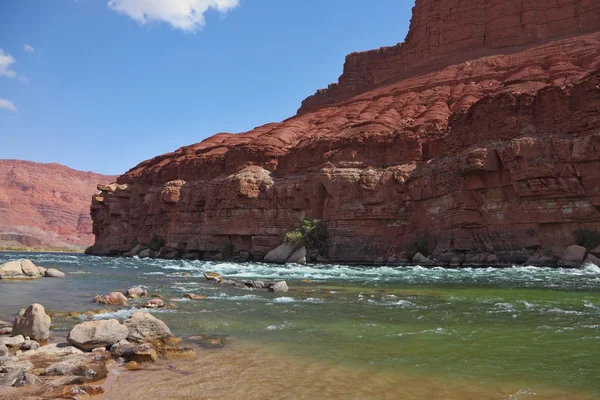 The rapid course of the Colorado River — Stok fotoğraf