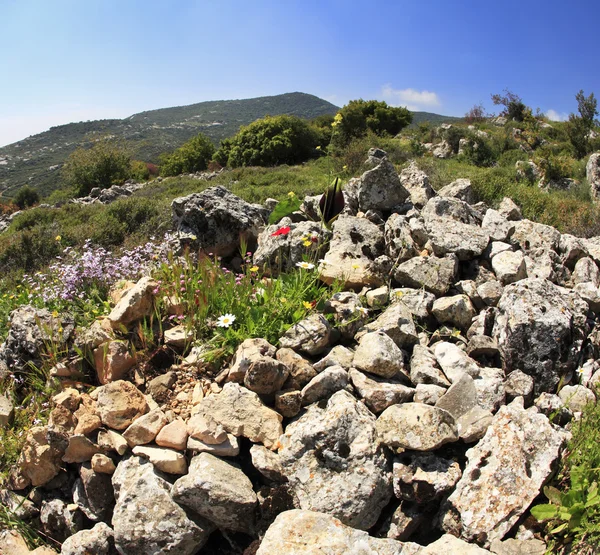 Hills of Galilee — Stock Photo, Image