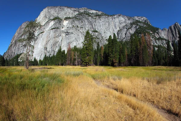Magnífica clareira no vale Yosemite — Fotografia de Stock