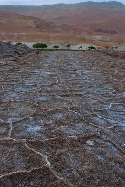 Anciennes montagnes de la mer Morte . — Photo