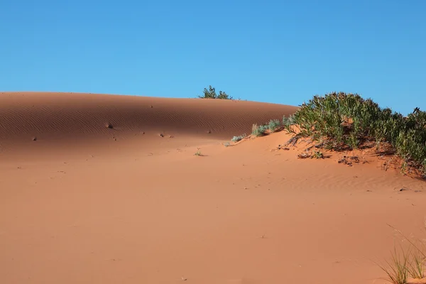 Die orange rosa Sanddüne — Stockfoto