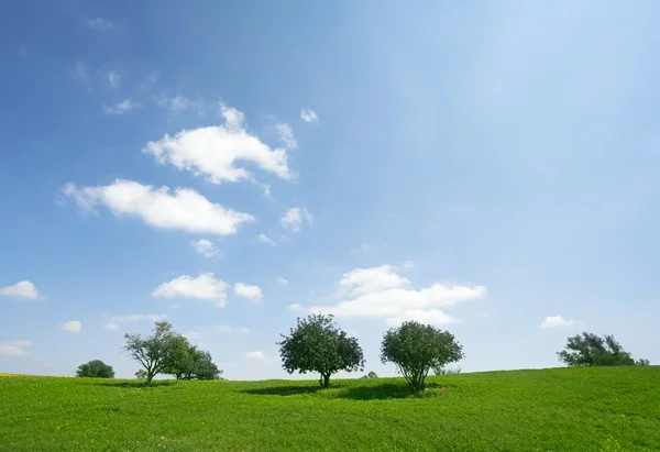 Klar vårdag — Stockfoto