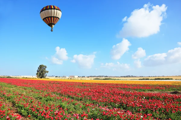 Hell gestreifter Ballon fliegt über ein Feld — Stockfoto