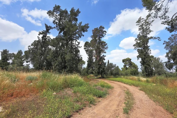 Estrada rural encantadora — Fotografia de Stock