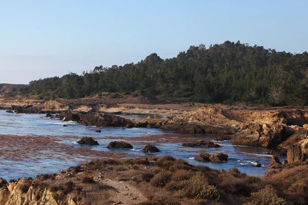 O mică lagună în Lobos Reserve Point — Fotografie, imagine de stoc