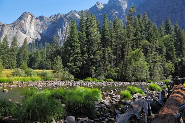 In the famous Yosemite Park — Stock Photo, Image