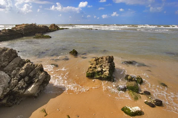 Pequeñas olas — Foto de Stock