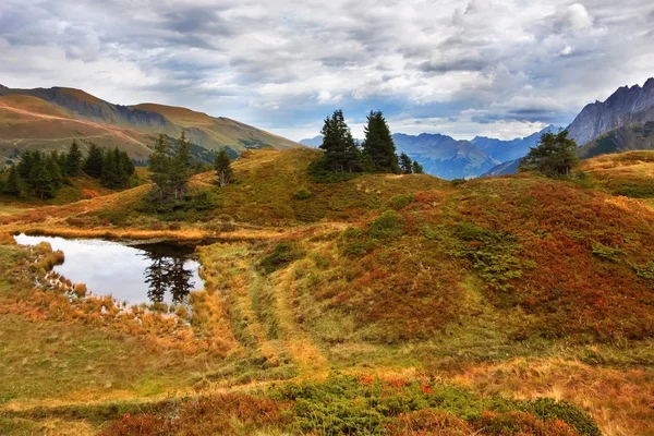 Hierbas de otoño brillantes — Foto de Stock