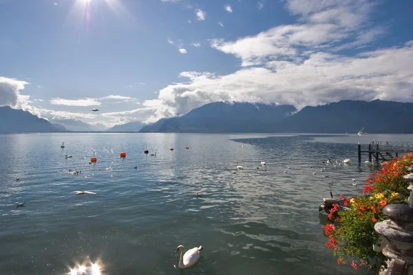 Buen lago Leman —  Fotos de Stock