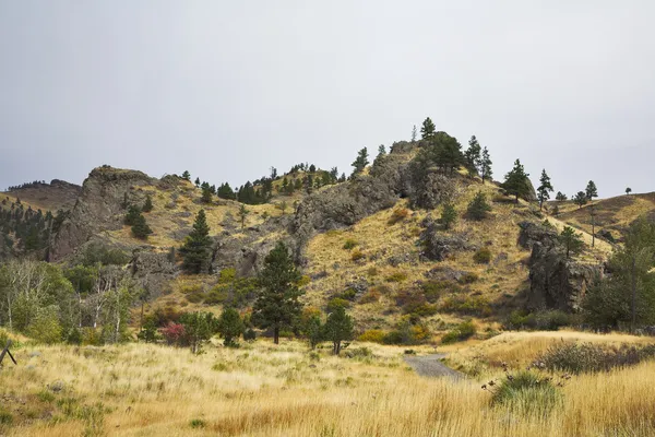 Valle del río Missouri . — Foto de Stock