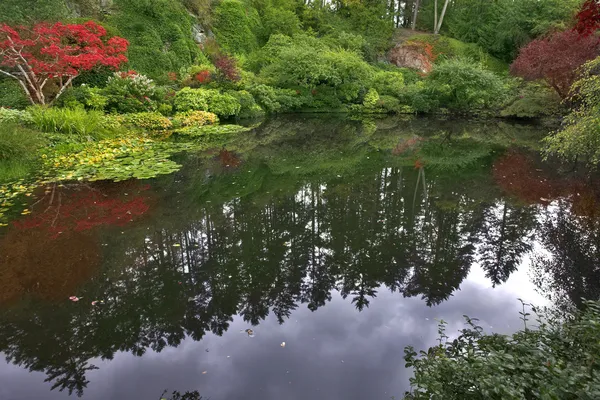 Silent lake. — Stock Photo, Image