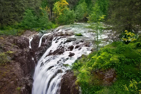 在岛上的梯级瀑布温哥华-英国人河瀑布 — 图库照片