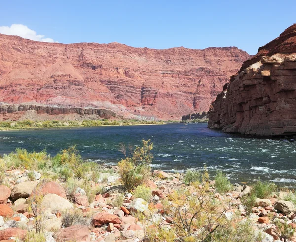 El rápido flujo del río — Foto de Stock