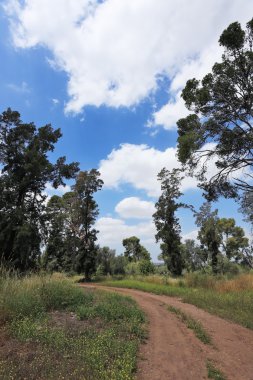 büyüleyici ülkede yol