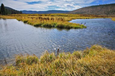 düz, akış ve çim