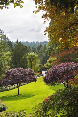 butchard-Bahçe üzerinde Kanada vancouver Adası