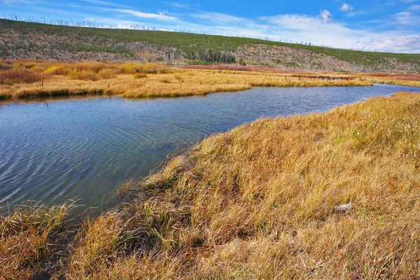 Парк Yellowstone в США — стокове фото