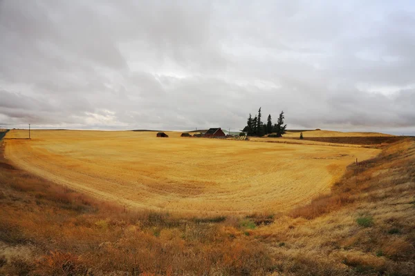 Herbst in Montana. — Stockfoto