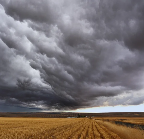 Gewitter über Feldern — Stockfoto