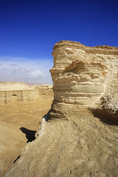 The dry dehydrated canyons in desert — Stock Photo, Image