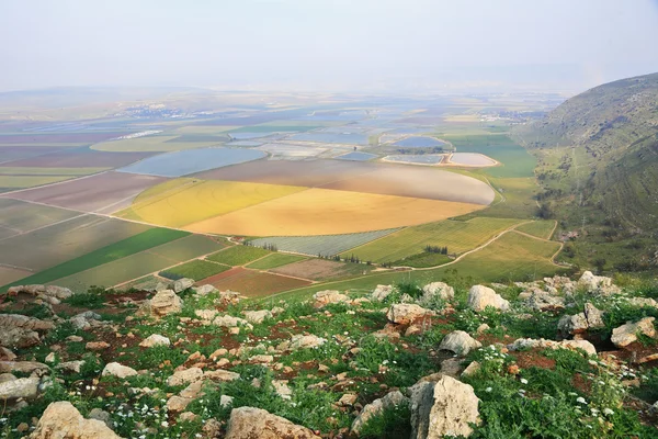 La vallée de la hauteur du vol de l'oiseau. Printemps — Photo