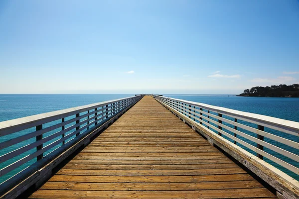 Pacific coast USA. Warm day — Stock Photo, Image