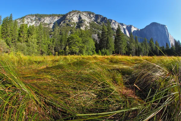 Storslagna landskap i en dal — Stockfoto