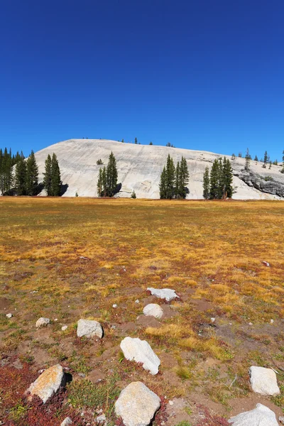 Yosemitten midt på dagen – stockfoto