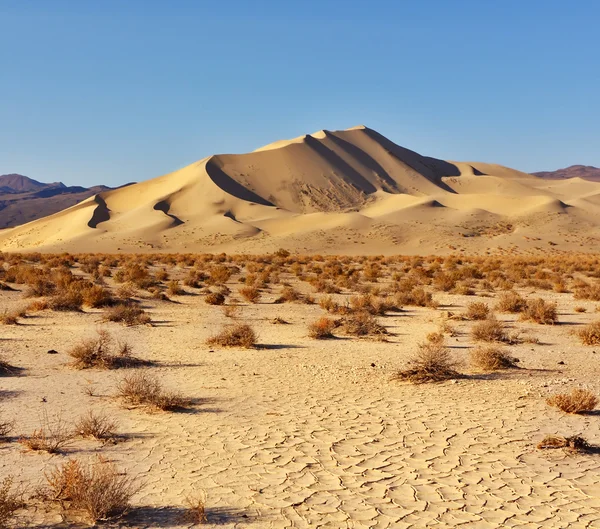 Magnificent greater sandy dune Eureka — Stock Photo, Image