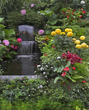 çiçek ve küçük balıklar.