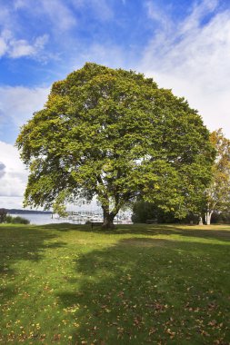 kıyısında pitoresk park