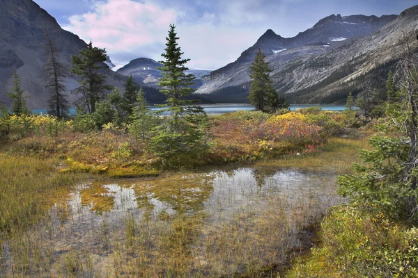 Lac turquoise et herbe orange . — Photo