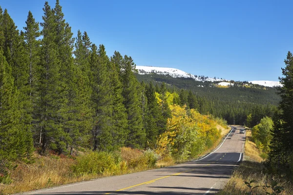 American north — Stock Photo, Image