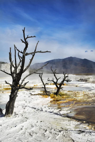 Bílá vysychání geotermální jezero — Stock fotografie