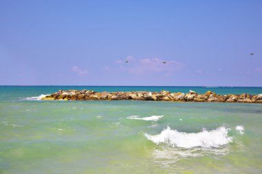 askeri geçit töreni