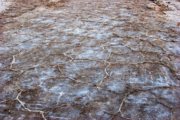 Salty patterns. — Stock Photo, Image