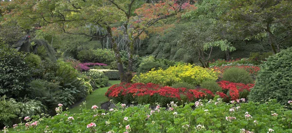 Giardino decorativo multicolore . — Foto Stock