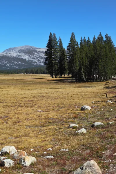 Picturesque Yosemite Park in the early autumn — Stock Photo, Image