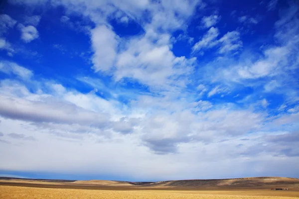 El alto cielo azul oscuro sobre Yellowstone — Foto de Stock