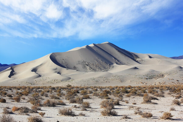 Early morning in the desert