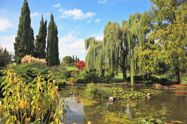 아름 다운 연못 — 스톡 사진