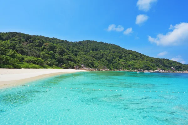 La playa rodeada de bosque verde tropical — Foto de Stock